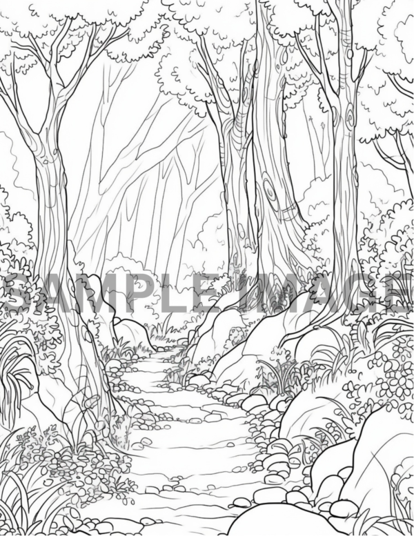 Hiking Trails Coloring Book